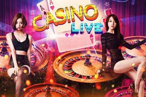 Holy Moly Casino Live Betting